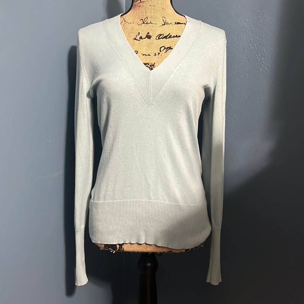 Banana Republic light blue v-neck sweater